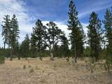 5 Greyback Mtn Rd - Photo 5