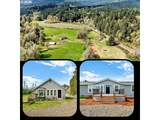 24022 Alpine Rd - Photo 1