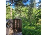 0 Rice Creek Rd - Photo 11