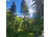 0 Rice Creek Rd - Photo 13