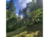 0 Rice Creek Rd - Photo 15