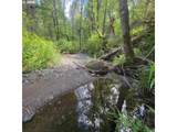 0 Rice Creek Rd - Photo 17
