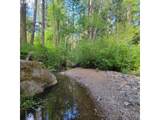0 Rice Creek Rd - Photo 18