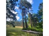 0 Rice Creek Rd - Photo 19