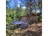 0 Rice Creek Rd - Photo 3