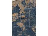 0 Rice Creek Rd - Photo 37