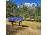0 Rice Creek Rd - Photo 39