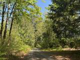 30725 Wall St - Photo 14