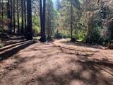 2536 Mannthey Rd - Photo 3