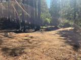 2536 Mannthey Rd - Photo 5