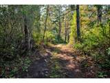5603 Friendly Acres Rd - Photo 35