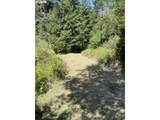33090 Lupine Way Rd - Photo 10