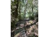 33090 Lupine Way Rd - Photo 18
