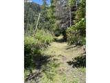 33090 Lupine Way Rd - Photo 8