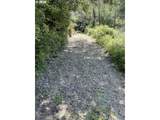 33090 Lupine Way Rd - Photo 9