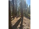  Hwy 58 - Photo 2
