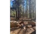  Hwy 58 - Photo 3