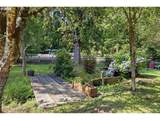 8820 North Fork Siuslaw Rd - Photo 40