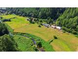 8820 North Fork Siuslaw Rd - Photo 44