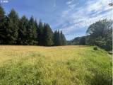  Timber Rd - Photo 12