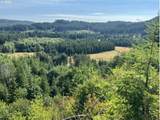  Timber Rd - Photo 15