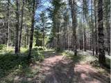  Timber Rd - Photo 23