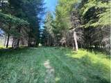  Timber Rd - Photo 29