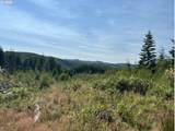  Timber Rd - Photo 32