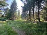  Timber Rd - Photo 33