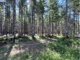  Timber Rd - Photo 34