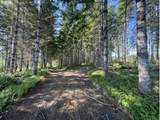  Timber Rd - Photo 35