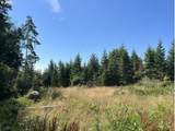  Timber Rd - Photo 38