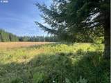  Timber Rd - Photo 39