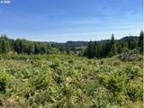  Timber Rd - Photo 42