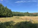  Timber Rd - Photo 44