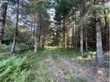  Timber Rd - Photo 46