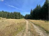  Timber Rd - Photo 47