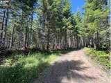  Timber Rd - Photo 48
