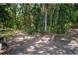 31795 Wilsonville Rd - Photo 16