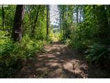 31795 Wilsonville Rd - Photo 8