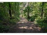 31795 Wilsonville Rd - Photo 9