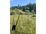 000 Trail Ln - Photo 28