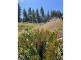 000 Trail Ln - Photo 37