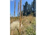 000 Trail Ln - Photo 38