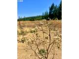 000 Trail Ln - Photo 44