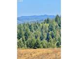 000 Trail Ln - Photo 45