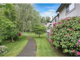 23882 Treehill Dr - Photo 32