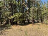  Whitetail Ln - Photo 1