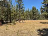  Whitetail Ln - Photo 10