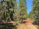  Whitetail Ln - Photo 11